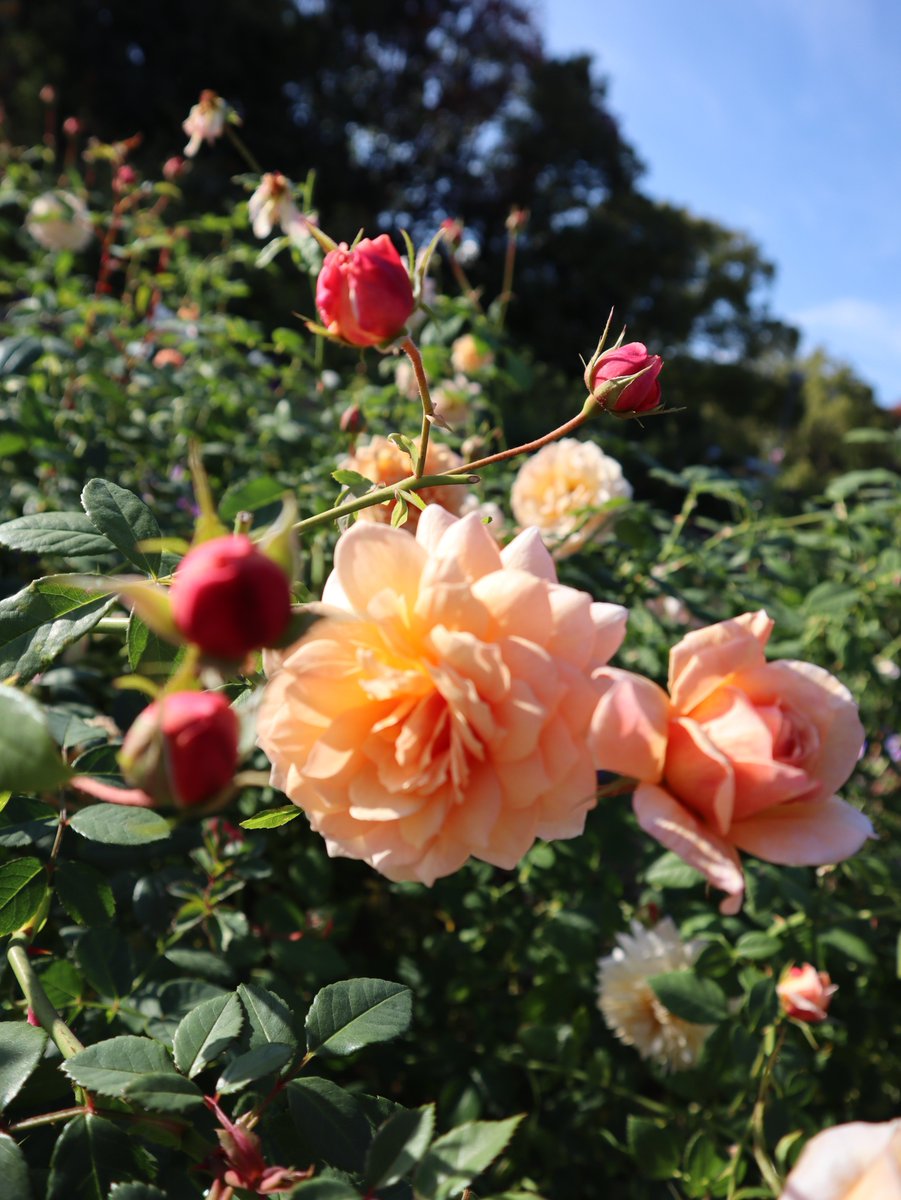 Jayne Jayneclaire4 Twitter