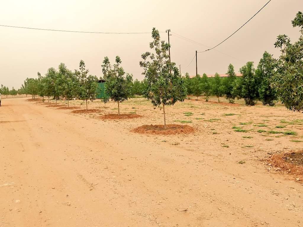 Tell them:  #Eritrea is Busy Nation Building #NoTime 4  #FakeNews