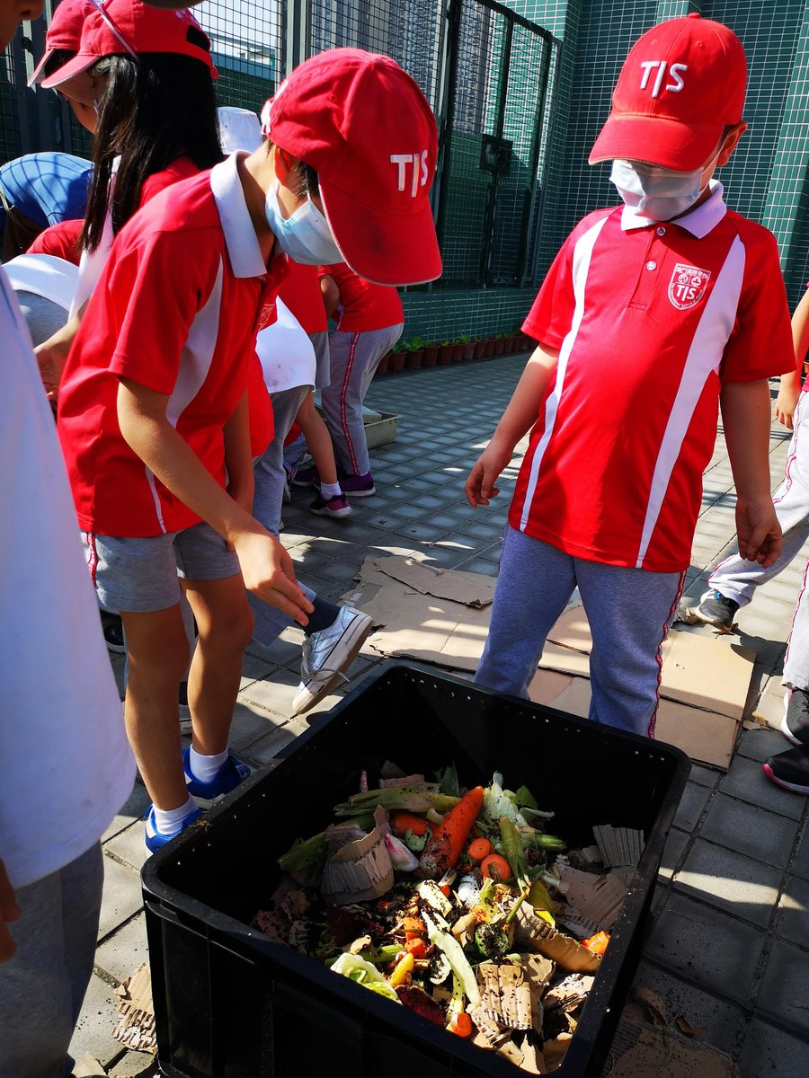 CBoon18's tweet photo. Ss in 3-1 learned about composting and how your scraps can turn into yummy greens! #tismacao #mightygreens https://t.co/sRfRgB4Qlv