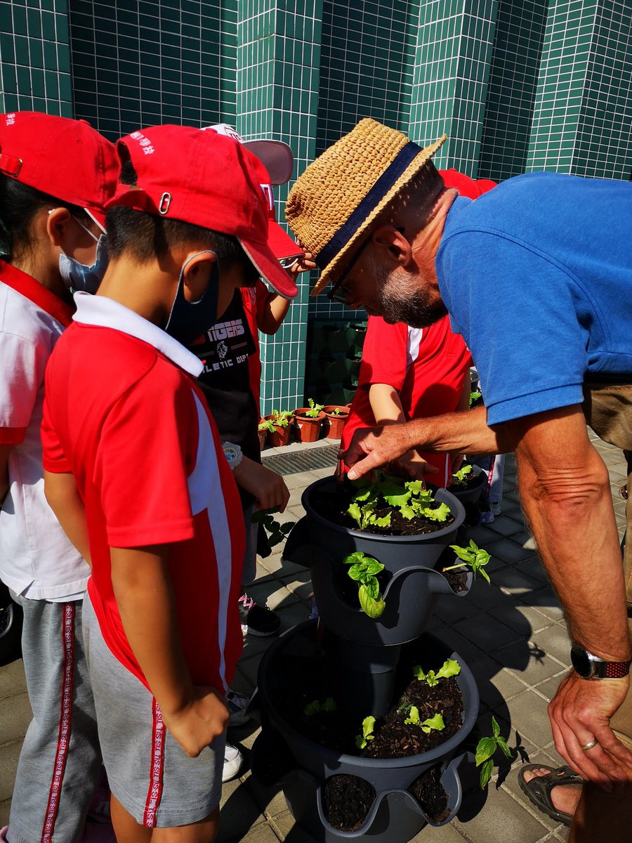 CBoon18's tweet photo. Ss in 3-1 learned about composting and how your scraps can turn into yummy greens! #tismacao #mightygreens https://t.co/sRfRgB4Qlv