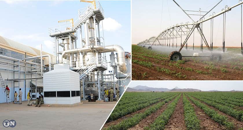 Tell them:  #Eritrea is Busy Nation Building #NoTime 4  #FakeNews