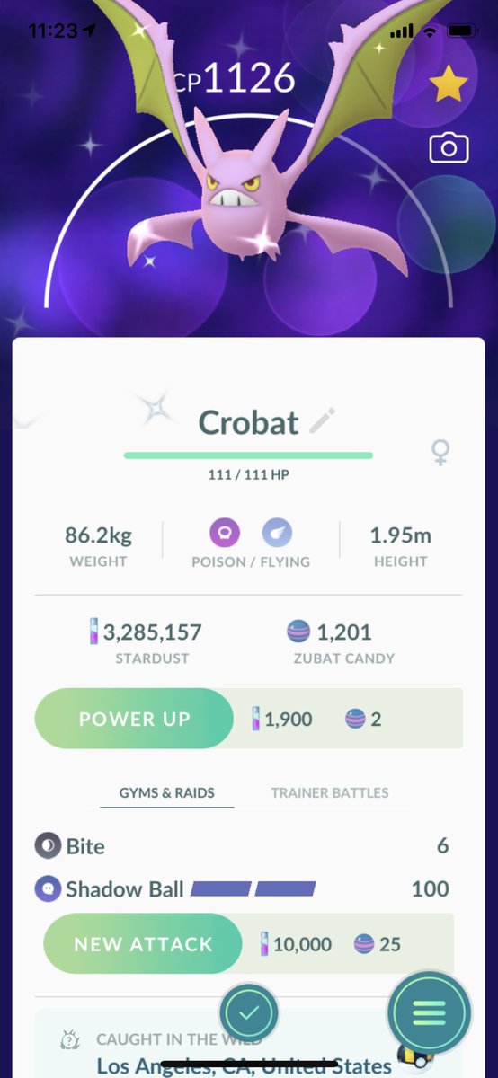 JoltyJon13's tweet photo. Just got my third #shinyZubat! 🤩 #shinyfamily complete! 😎
#PokemonGo #shinyCrobat https://t.co/X3rj7IgZk6