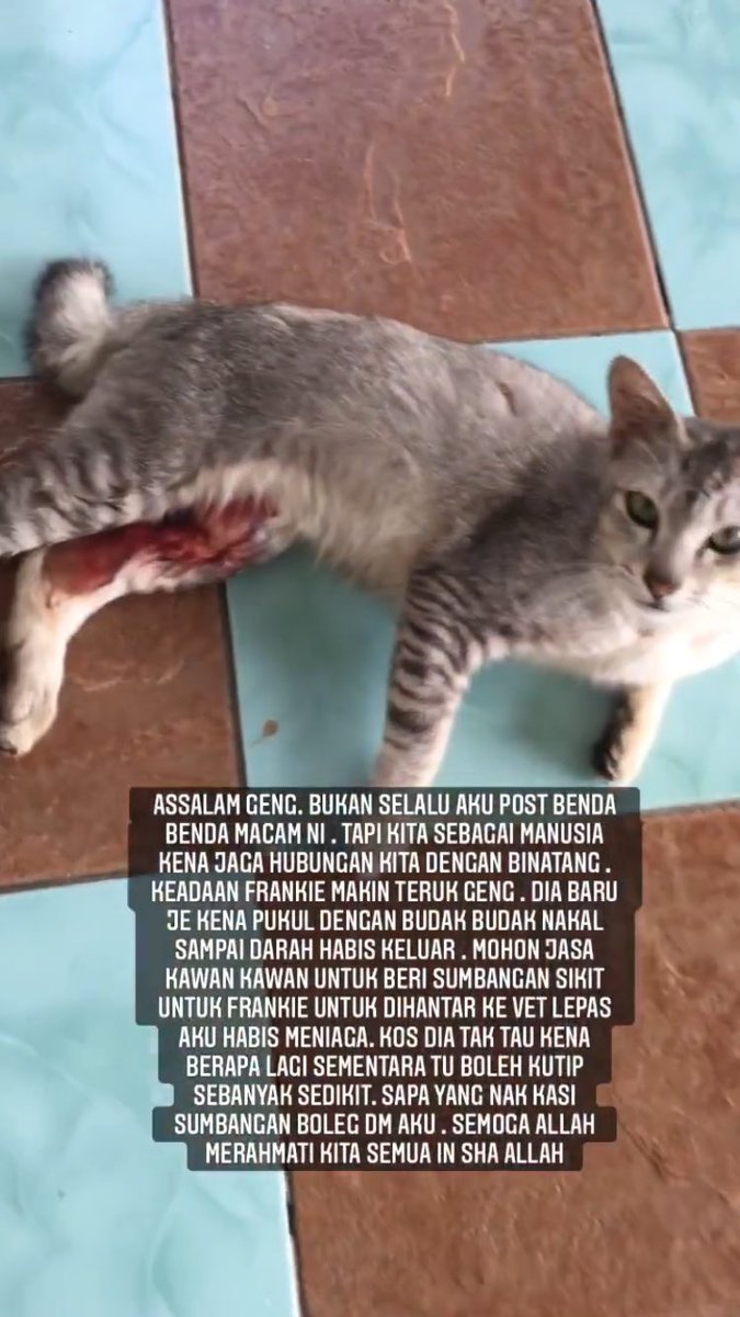Nassssri's tweet photo. Tolong rt geng . Semoga Allah permudahkan segala urusan kalian semua 🤲🏻 https://t.co/6wRCds0xLH