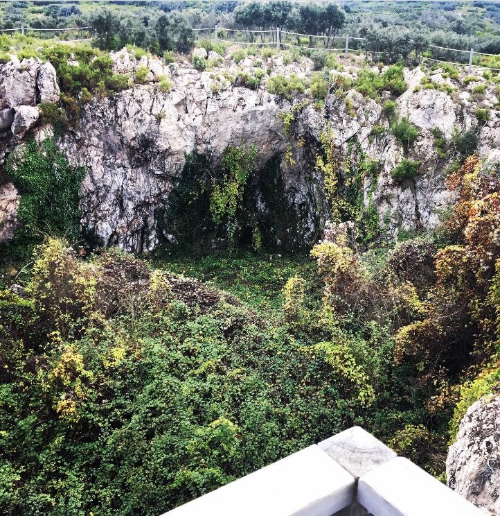 Cueva Sabuquera de Alcublas 🦅🦔 Esta dolina fue utilizada como nevera para almacenar nieve y hoy es un interesante punto de observación de aves o #birdwatching 🦉🕊🐾 #AlcublasTurismo #Alcublas #AyuntamientoDeAlcublas #LaSerrania #observaciondeaves #seobirdlife