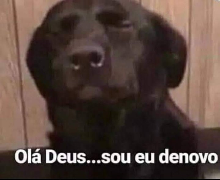 Hey_Teles's tweet photo. Final do ano chegando e eu vendo que não fiz nada do EAD https://t.co/xHjwzPurmP