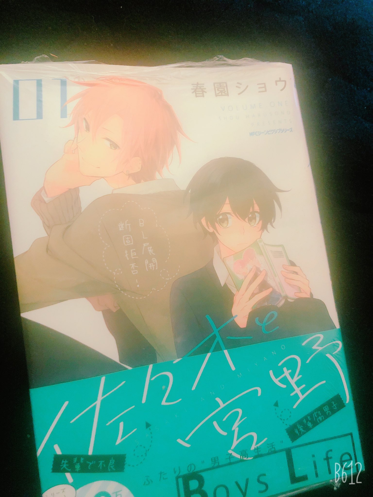 そるにゃん 佐々木と宮野アニメ化って耳にしてこの前表紙買いしたのにまだ読んでないこと思い出した T Co Ejndfj5lxp Twitter