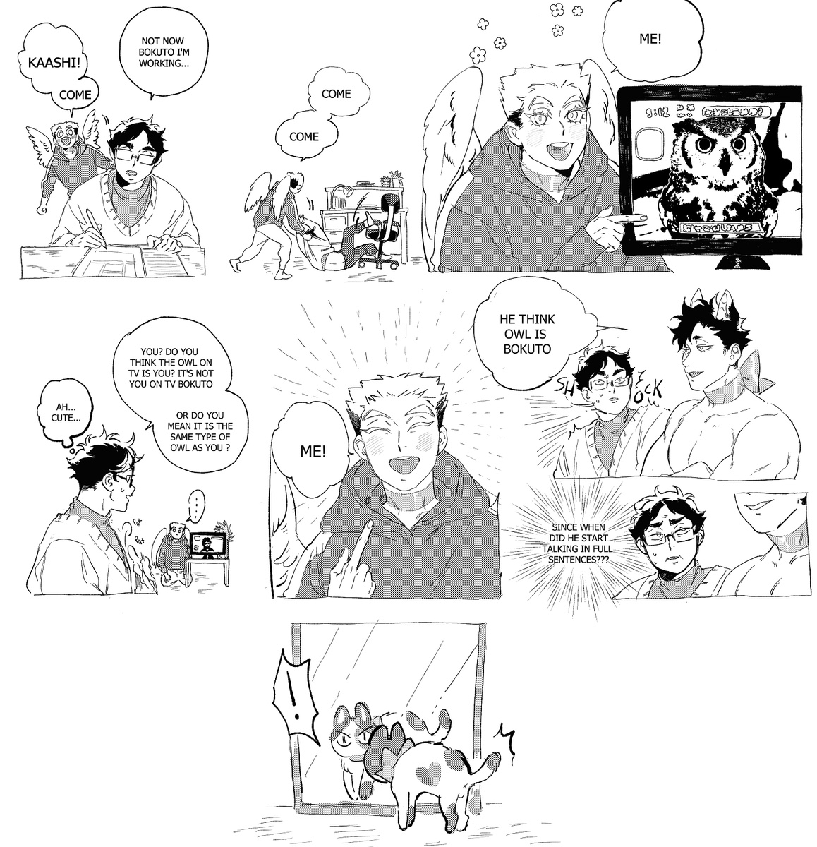 Akaashi pet au: Owl on TV 