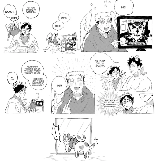 Akaashi pet au: Owl on TV 