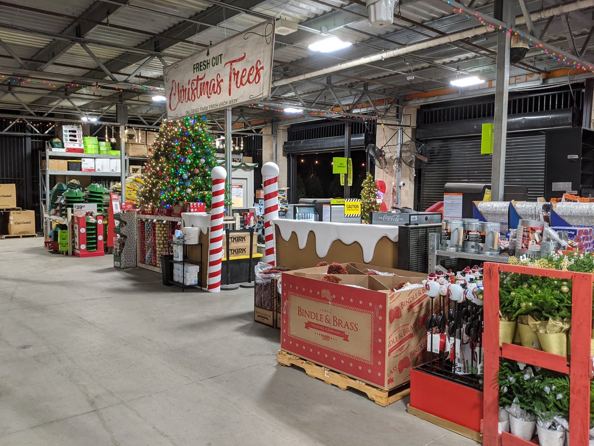 JamesCollins_55's tweet photo. The Provo Home Depot tree lot is open for business! Come down and get some fresh cut live goods. #Ferocious4416 #D53 https://t.co/NbJVWllEDY