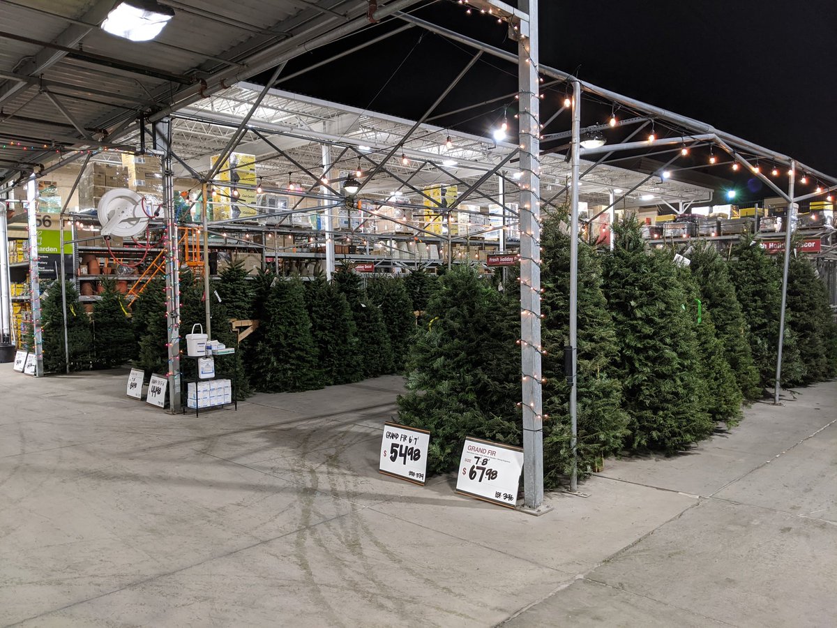 JamesCollins_55's tweet photo. The Provo Home Depot tree lot is open for business! Come down and get some fresh cut live goods. #Ferocious4416 #D53 https://t.co/NbJVWllEDY