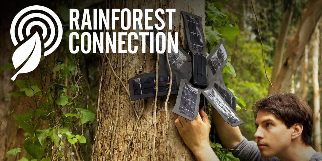 GMCInnovation's tweet image. #SpeciesAudioDetection #SpeciesDetection #CodingCompetitions #Competitions
#Rainforest Connection Species Audio Detection
In this #Rainforest Connection Species Audio Detection, you’ll automate the detection of bird and frog species in tropical s ...
is.gd/31cYxn