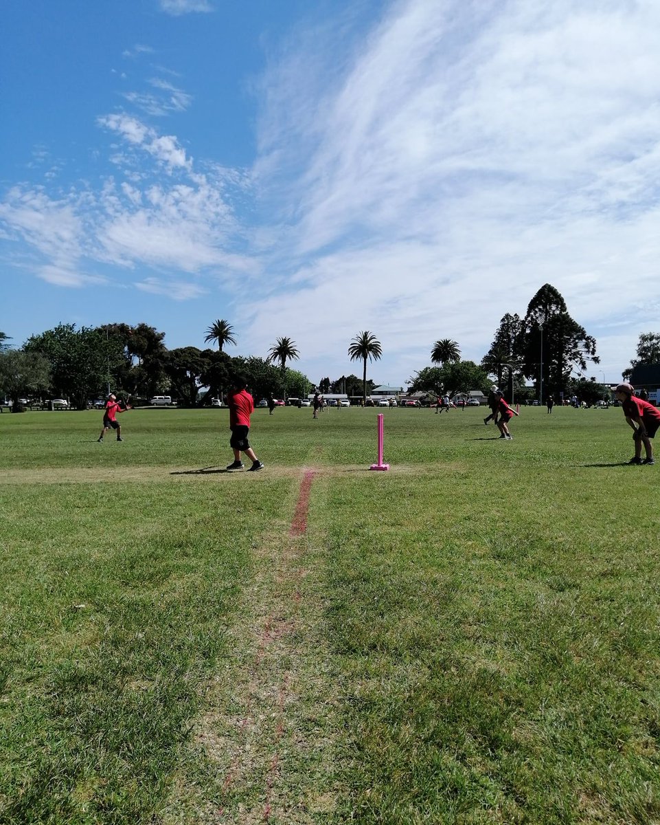 Queen Street Cricket Club tweet media