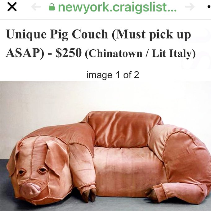 #PigCouch https://t.co/tdaLjNlcj7<a href="/tag/pigcouch"class="tags">#PigCouch</a>