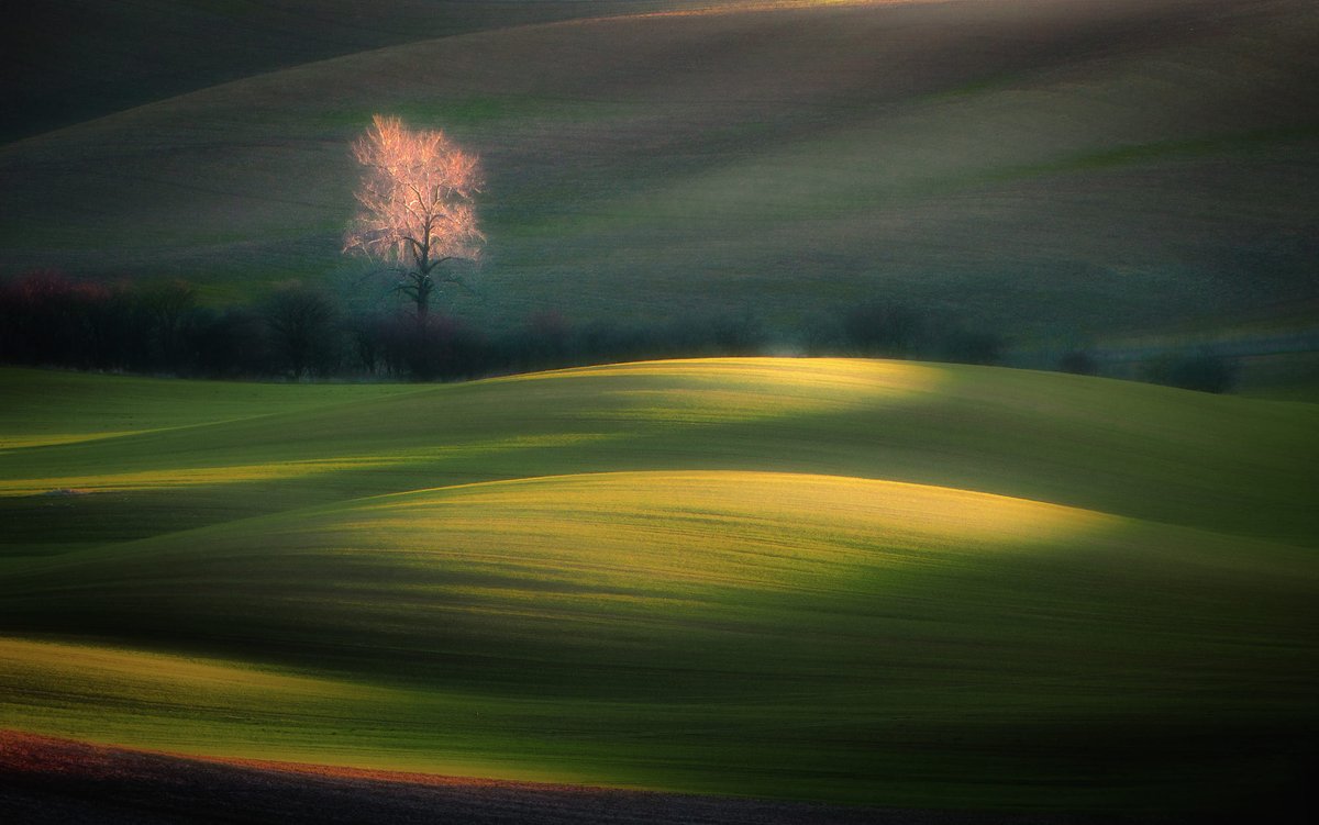 There is nothing more beautiful than nature early in the morning. 𝘝𝘪𝘯𝘤𝘦𝘯𝘵 𝘝𝘢𝘯 𝘎𝘰𝘨𝘩 ___ 📷Marek Boguszak - 𝘌𝘮𝘦𝘳𝘨𝘪𝘯𝘨 𝘧𝘳𝘰𝘮 𝘋𝘢𝘸𝘯