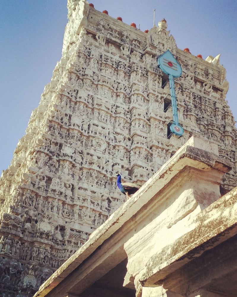  #SkandaSashti  #Thread Thiruchendur temple,TN Among 6 Holy abodes of Lord Karthikeya is built just 200 mtrs near Bay Of Bengal. 2004 Tsunami Didnt Touch the temple But Everything Around It Was Destroyed.Sea waves went back 2 km & saved piligrims & temple town from disaster1/n