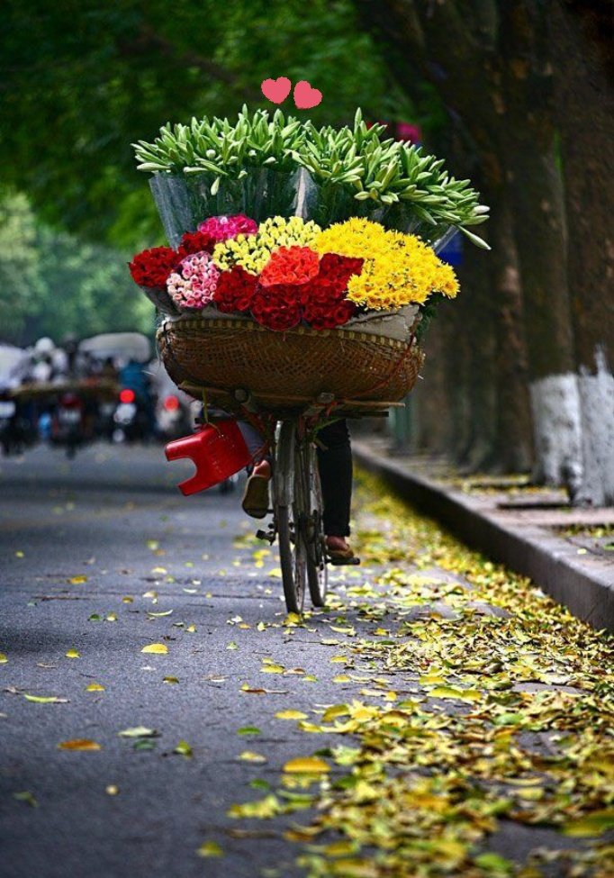 physiocool's tweet photo. " Life is like riding a bicycle.
To keep your balance,
you must keep moving...." 

#Albert_Einstein #beposite
#BeHappy #loveyourself #GoodVibesOnly #FridayThoughts #goodvibes 
#fridaymorning #smile #FridayMotivation

#GoodMorningTwitterWorld ...🌼 https://t.co/AsG03OJMoR