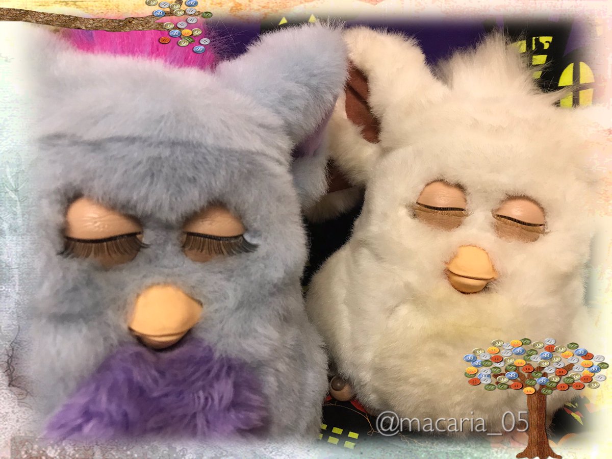 Macaria 2人でお昼寝タイム Zzz 左maria 右schneefee Furby ファービー 全ファ連 Furby2 Furby05 Funkyfurby ファンキーファービー 可愛い Kawaii Macaria 2人でお昼寝タイム Zzz 左maria 右schneefee Furby ファービー 全ファ連 Furby2 Furby05 Funkyfurby ファンキーファービー 可愛い Kawaii