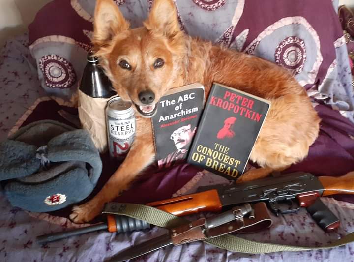 RadicalReviewer tweet media