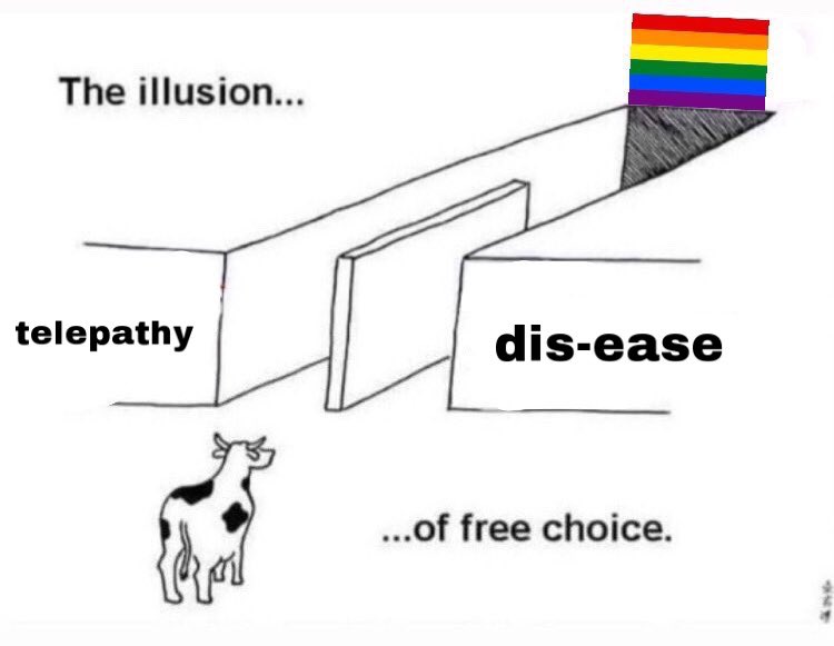 ✿ (@y00njinkook) on Twitter photo 