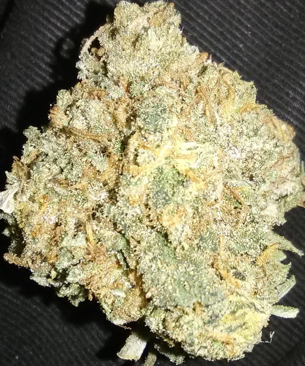 Mrhashfarms#1 tweet media