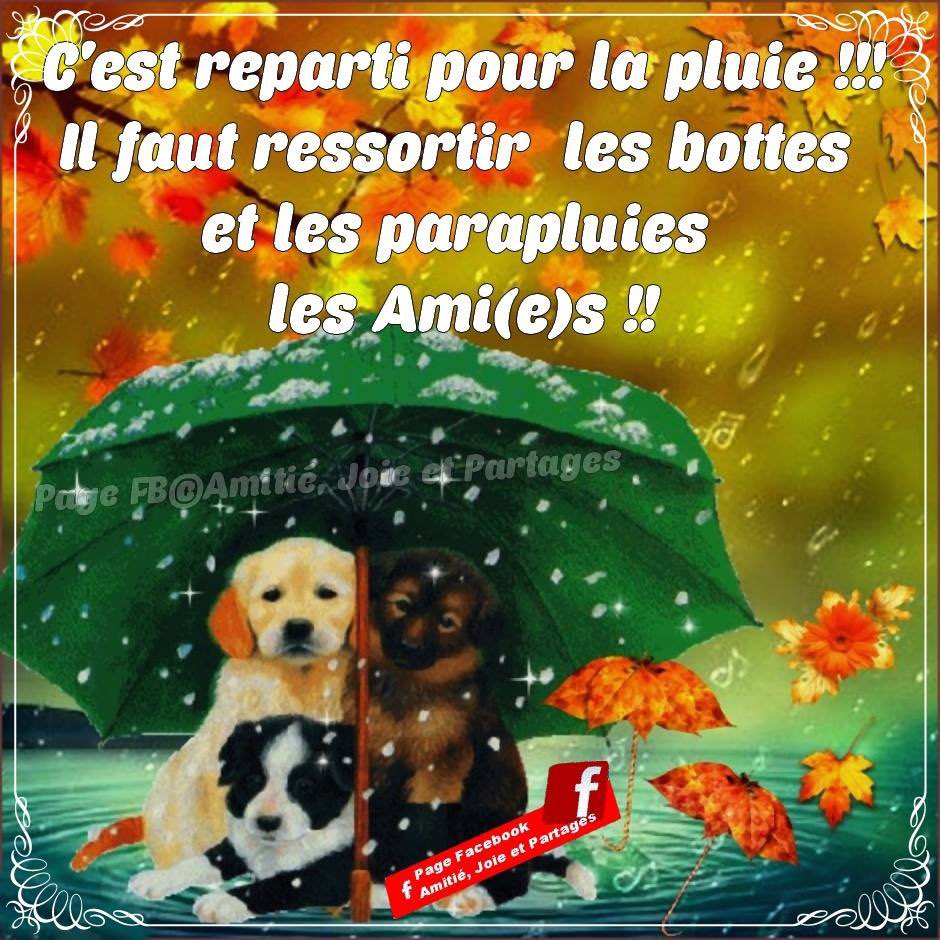 Bj a tous ,bon Vendredi à chacun 🍀🌸🍀🌸🍀🌸🍀
<a href="/GDroneau/">eveinegC</a> <a href="/AndjelkaPe/">🦌DARLING🐶</a> @emmrence <a href="/lamascotte1/">lamascotte (45)</a> 
<a href="/guyboutault/">boutault guy</a> <a href="/Becassier1/">Becassier</a> <a href="/17Anne17/">-Anne-Coline</a> <a href="/lebeaumatou/">gilbertlouis14</a> <a href="/RSCLdaniel/">fandanne.rscl</a>🍀🍀🍀🍀