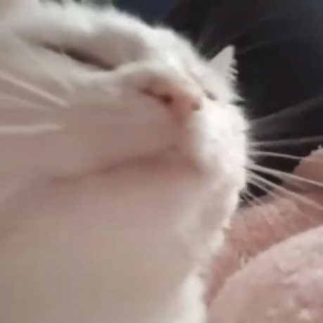 listening to                  telepathy, dis-ease,
blue &amp; grey                 stay right after