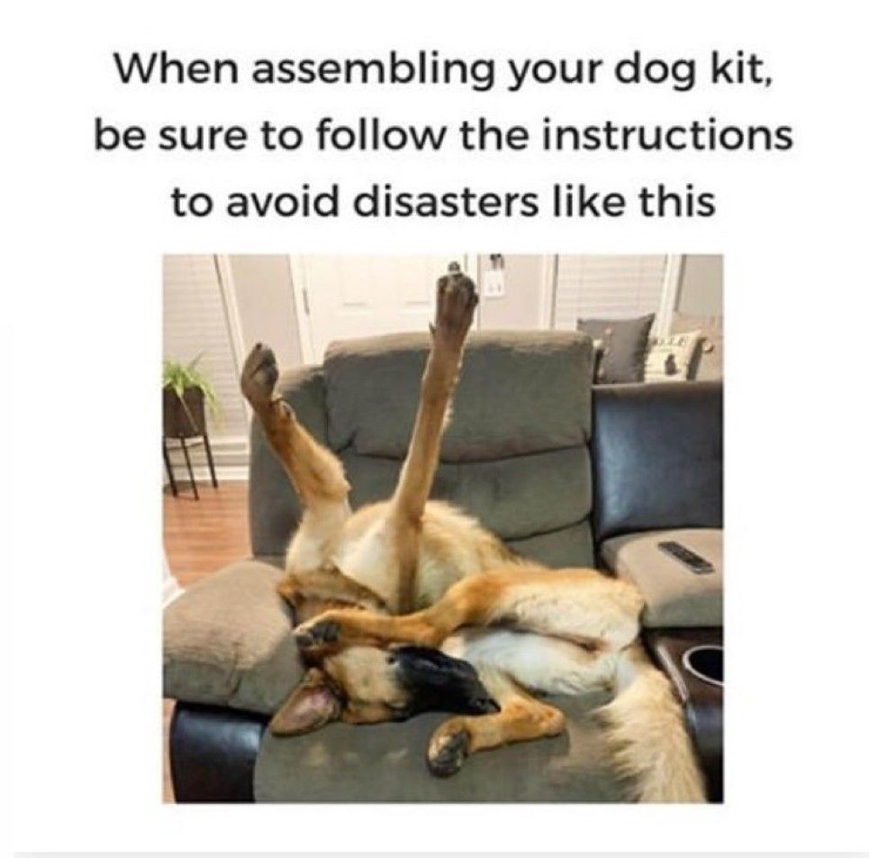 pact_autism's tweet photo. Happy Frivolous Friday 🎉

Where's those instructions.......🤣 https://t.co/UPRkAv3rYz