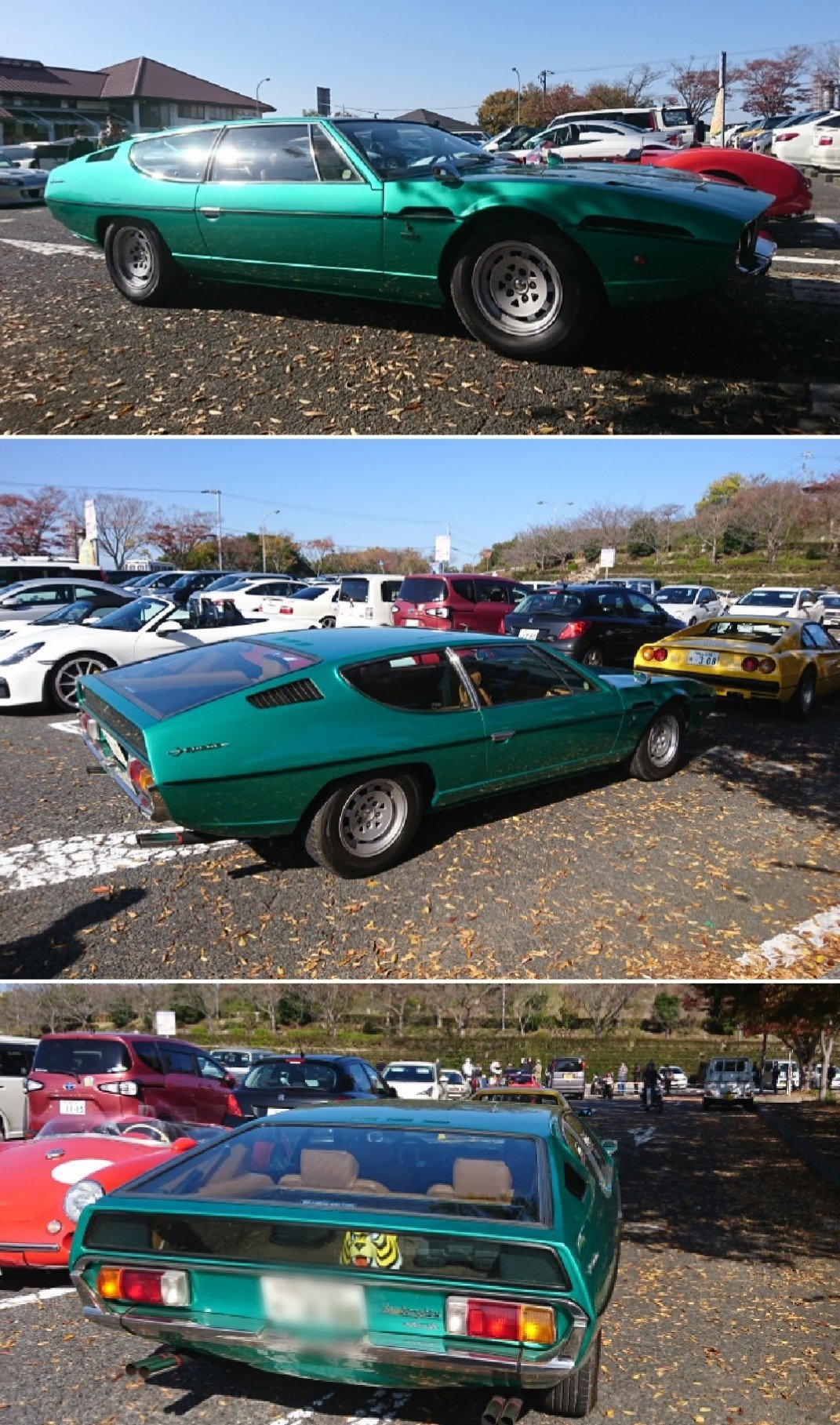 タイガーマスク　自動車 タイガーマスク 自動車