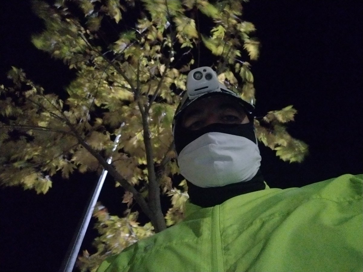 juanmateosm1's tweet photo. Buenos días en mi #caminatamañanera. Salí a por el pan y solo he tardado una horita en regresar a casa con el #donpe. No veas la cola que había en la panadería. Bueno me ha dado tiempo a dar un paseo y todo jajajajaja. https://t.co/BHYT1MXMTK