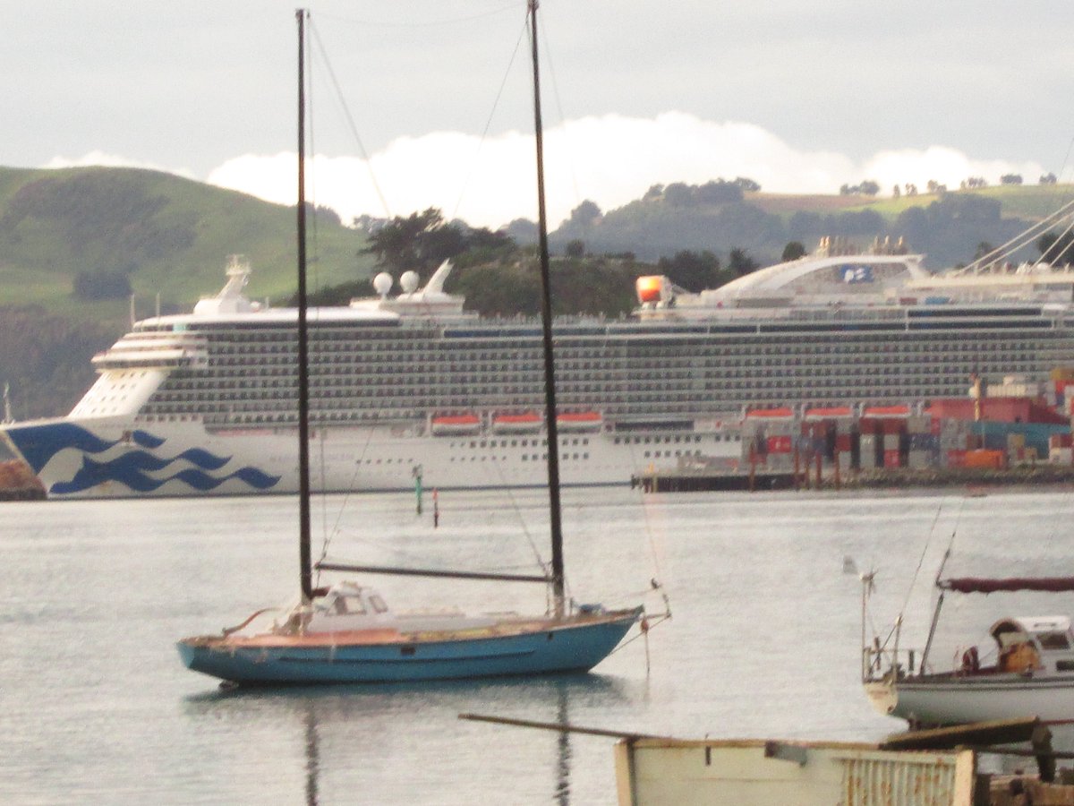 allanrob9's tweet photo. Seemed so certain these days would continue. #PortOtago #Cruises #oldpeeps spending in #NZ #trinkets & keepsakes & fond memories. https://t.co/e8rLqGwm2Z