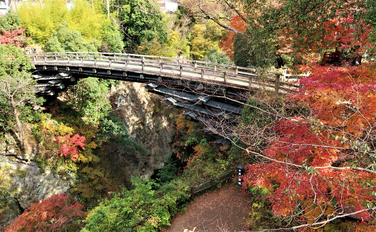 なぽりたん 猿橋 紅葉 大月市 桂川