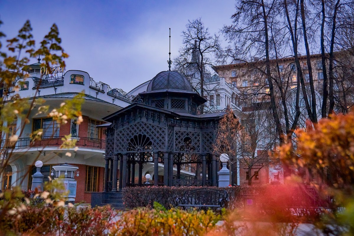 Поздняя осень в саду "Эрмитаж" 🧡
⠀
#mosgorsad #садэрмитаж