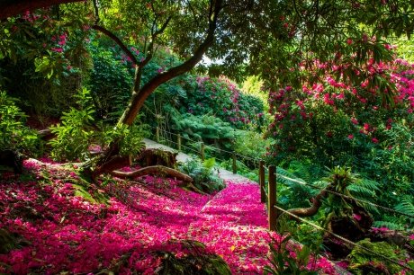 Gardeners have reported feeling uneasy in certain areas of the garden, especially the rockery and fruit store, and have insisted on working in pairs in these areas.