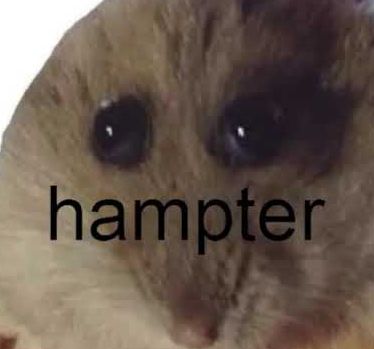 Gogy stream thread (stan him)