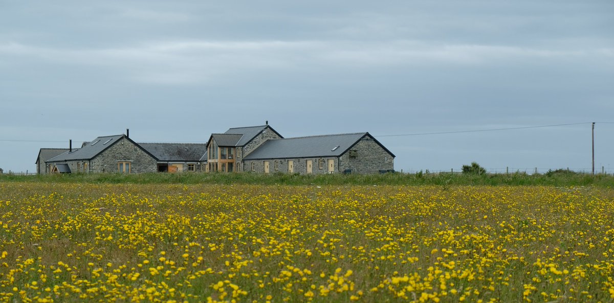 MandyForde tweet media