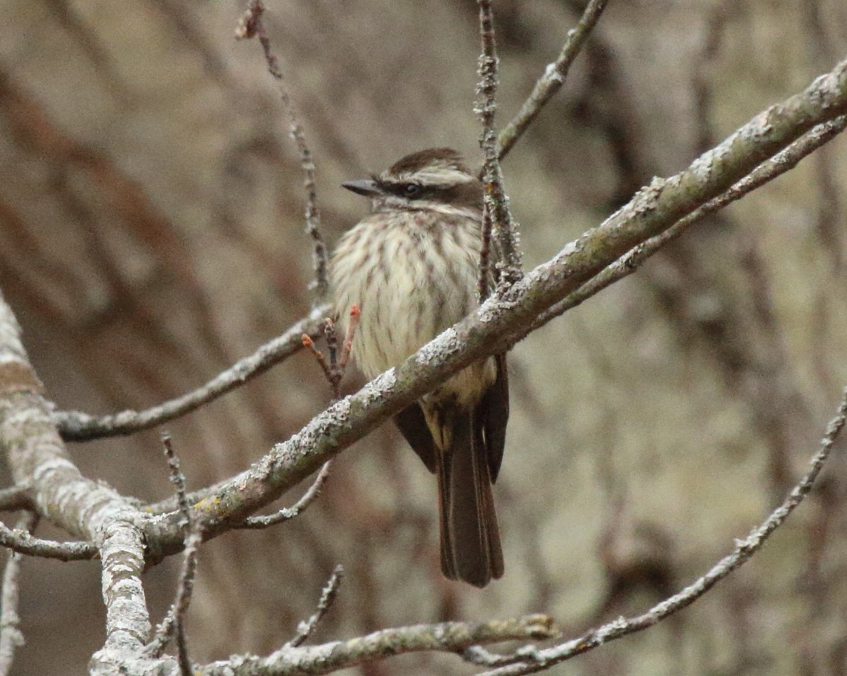 Abarare Hashtag On Twitter