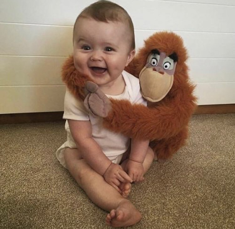 SillyMonksKids's tweet photo. Cute😍❤️

#kids #baby #childhood #love #sweet  #babygirl #babyboy #babylove #kids #cutebaby #beautiful #happy #style #cute https://t.co/P4rj3BwVrG