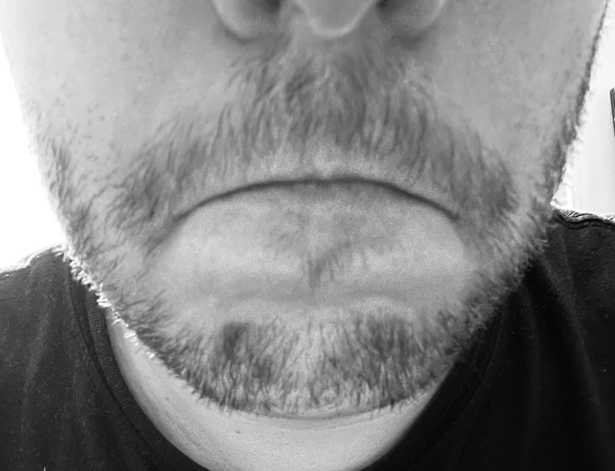 AlexReframe's tweet image. #Fleets #Fleet #Flite #flute #floute