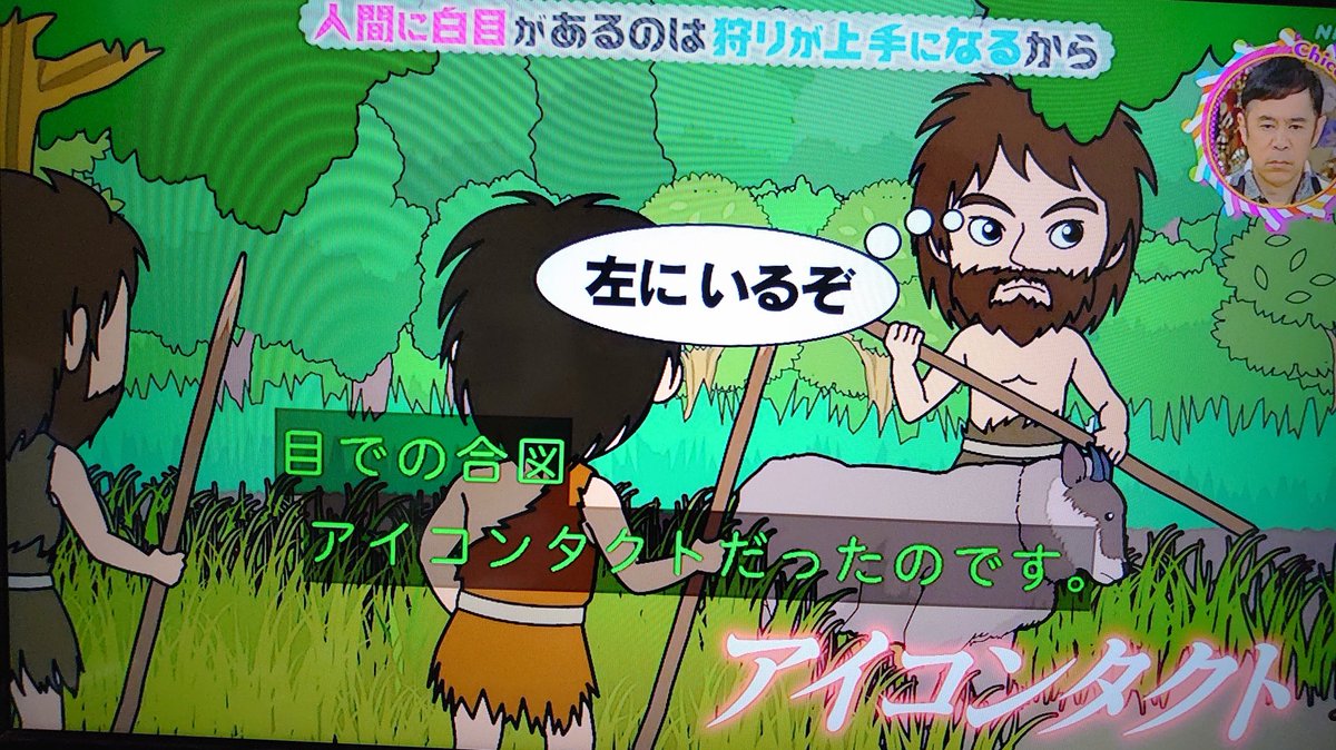 なぜ人間には白目がある 白目には人類の進化に重要な役割が チコちゃんに叱られる Togetter