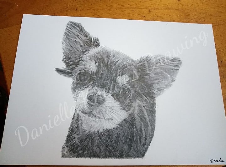 KnealeDanielle's tweet photo. Pet portrait for a surprise ☺
#pencildrawing #pencilsketch #blackandwhitedrawing #petdrawings #petportrait #pencil #petportrait #dogportrait #dogdrawings #dogdrawingsofinstagram #drawingsofinstagram #pencildrawingofinstagram #drawing https://t.co/CvPtwKh2Y0