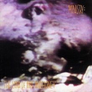 TheSludgelord's tweet photo. Albums of my years 

#nowplaying

@weareministry, “The Land of Rape and Honey”
Label: Sire Records 
Year: 1988

Stream here 👉 https://t.co/jDOWMuiLoq

#day325 #riffs365 #nov2020 #ministry #industrial #metal #classiclineup #sirerecords  #albumsofmyyears … https://t.co/0JQpqlVEk1 https://t.co/FflDhKC2iL