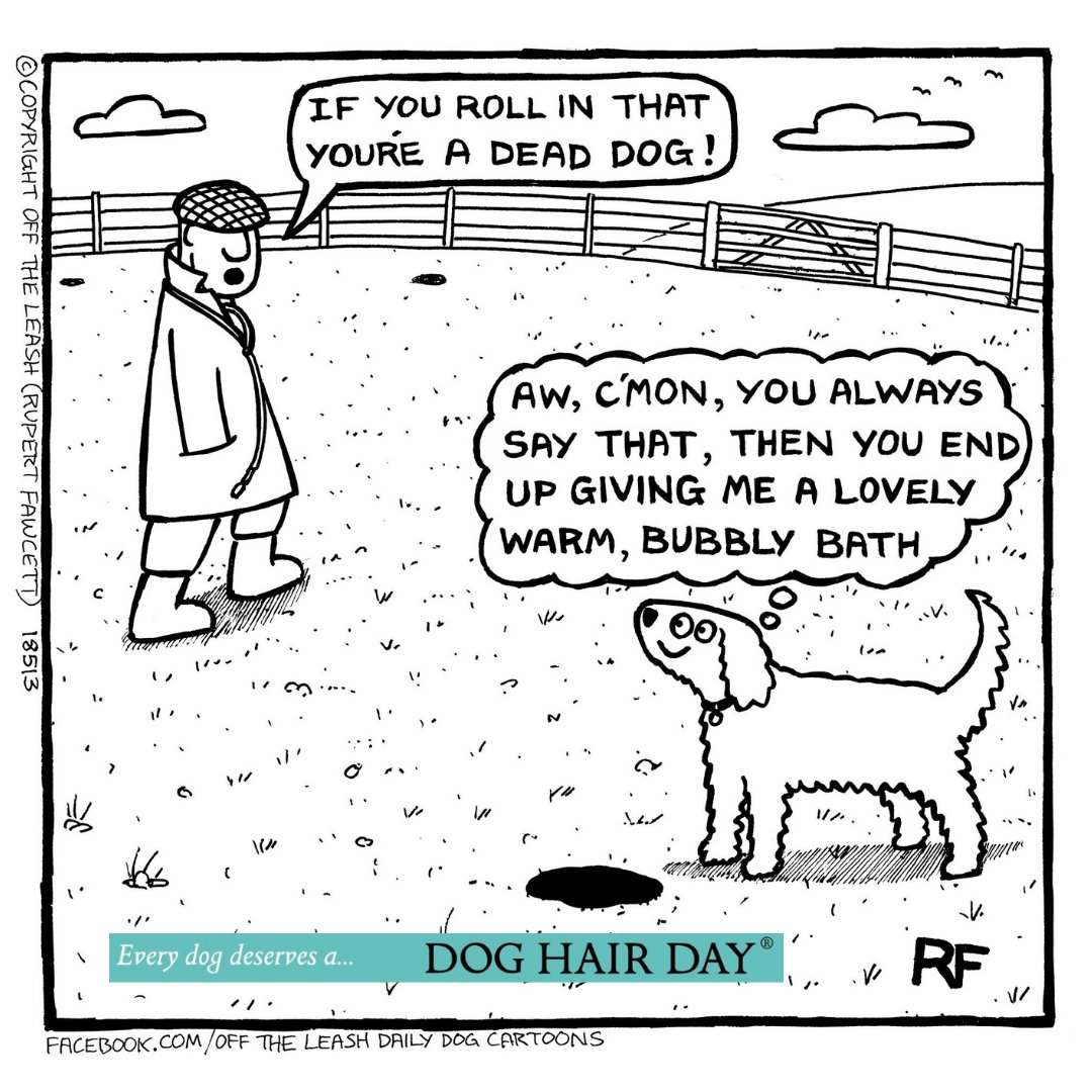 doghairday's tweet photo. .@doghairday Revive that smelly dog with our kind to your pet, kind to our planet shampoos. 97% #naturallyderived ph balanced for your dog, #biodegradable, UK made so low shampoo miles. What's not to like about a clean fresh-smelling pooch. #thepetsbiz #everydogdeservesa https://t.co/tXAcJDBK38