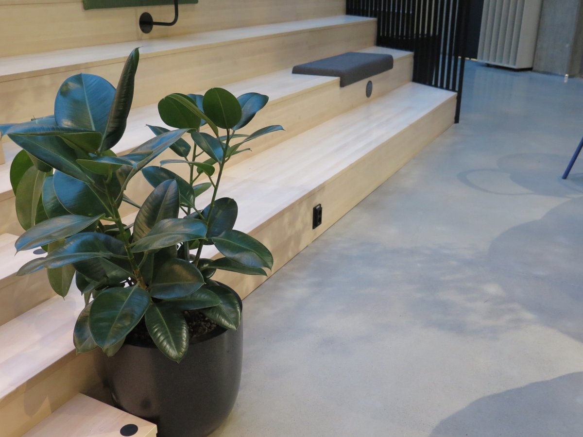 Bermanto360's tweet photo. Jälleen hieno projekti saatu pakettiin. VALO Hotel &amp; Work avasi uudentyyppisen hotelli-toimitila konseptin Helsinkiin. Kohteen aulatiloihin tuli hiotut, kiillotetut Bermanto DesignBase lattiat #betonilattia #designlattia #arkkitehti https://t.co/gFXXVHu87I