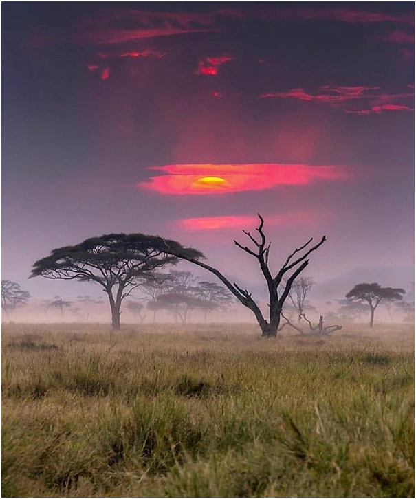TrevaronTravel's tweet photo. Enjoy the Sunset views of Kenya !!
For more details visit us @https://trevarontours.com/
info@trevarontours.com
#travelandlife #worldlust #bestvacation #fantastic_earth #travelforlife #traveltime #wildanimals #liveadventurously #earthoutdoors #goneoutdoors #letsgetlost https://t.co/dcnFBmEd2I