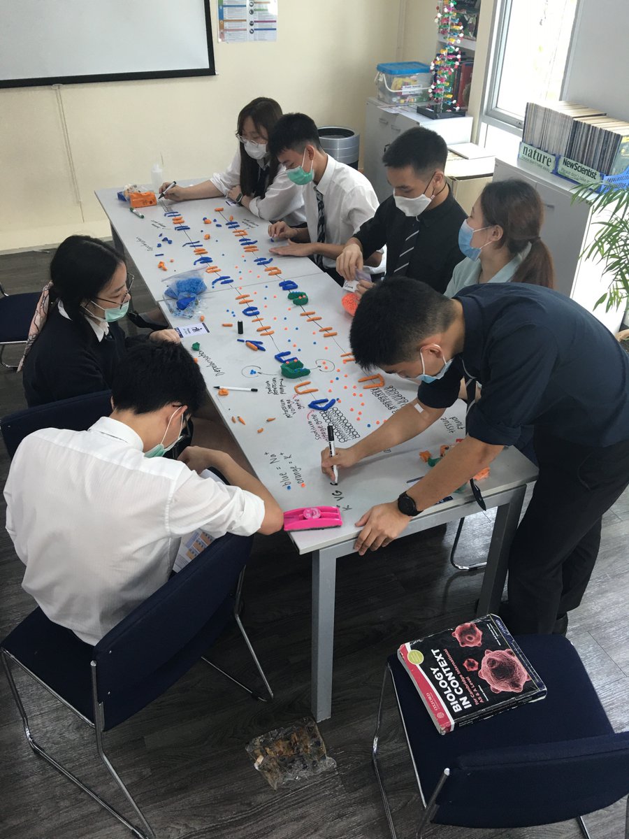 Year 13 Biology students collaboratively creating as they study the events taking place during a nerve impulse.
#harrowbangkok