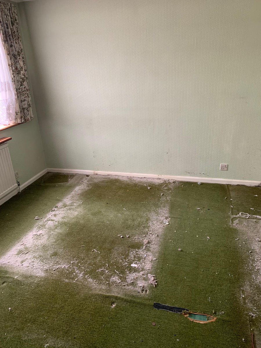Our own #ImACeleb #trial this week. 😂😱#Friday #cleaning