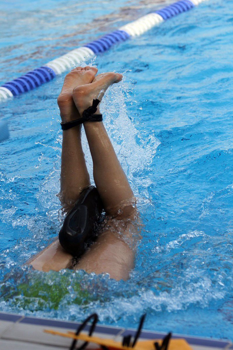 Brett Sutton tweet media