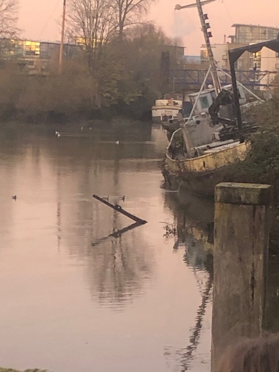 Oil has been leaking into the Thames for the last three days all along The Watermans Park side. Only apparent between 7-9am ish when tide is low. Looks like it could be spreading from a boat. #Brentford <a href="/LBofHounslow/">Hounslow Council</a> <a href="/WatermansArts/">Watermans Live and Digital</a> @watermanspark