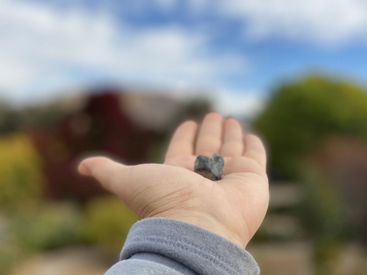 L_Rodriguez1111's tweet photo. #HeartStones #AngelMessages #DivinelyGuided https://t.co/F3uQPwVes1