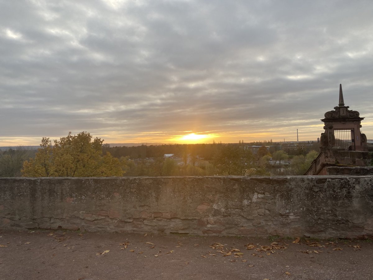 reledu_media's tweet photo. @relichat #wochenchallenge #relichat
Mit dem Rad je nach Route auch mal am Main entlang #aschaffenburg https://t.co/aUw5W1BXTr